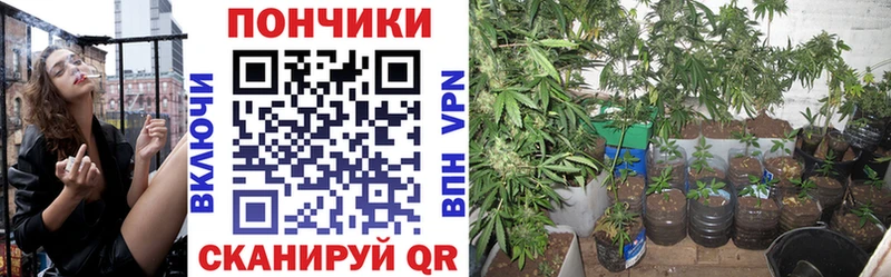 Купить A-PVP  КОКАИН  МЕФ  МАРИХУАНА  Анива