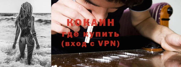 тгк Магас