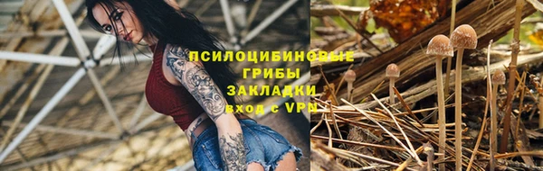 тгк Магас